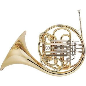double french horn.jpg