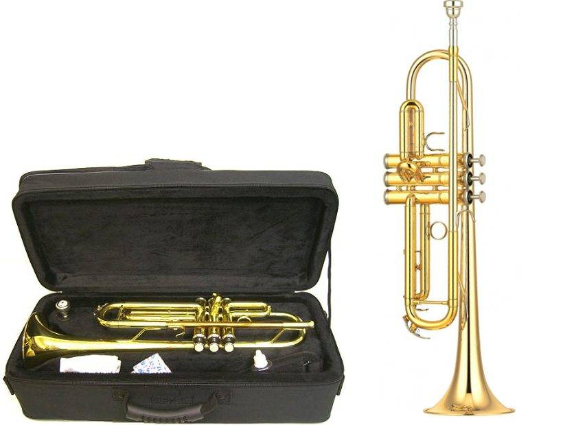 trumpet trumpet